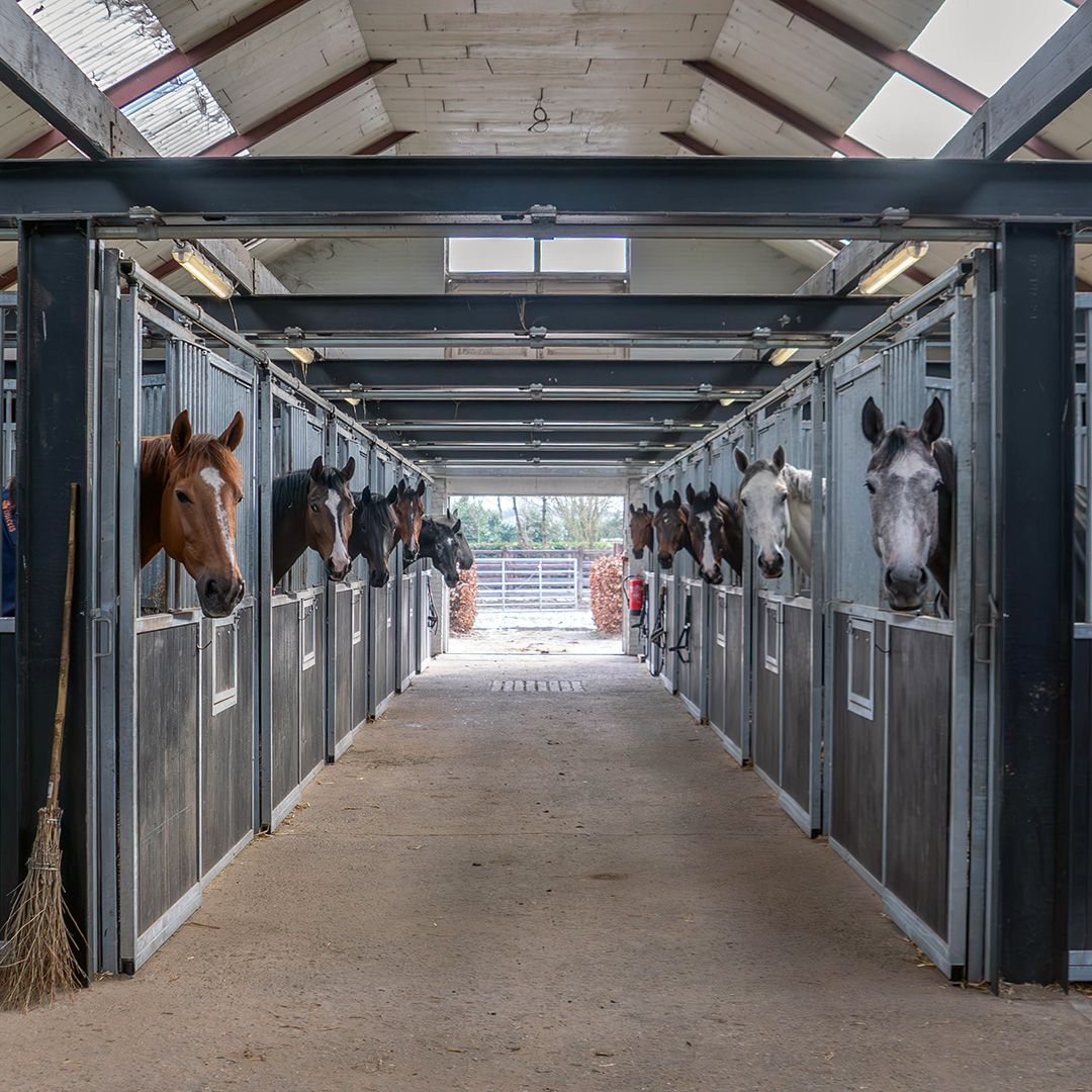 Schijndelse Woud Stables