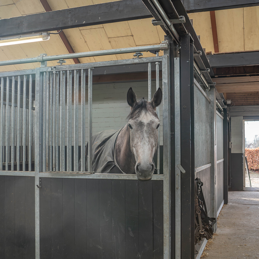 Schijndelse Woud Stables