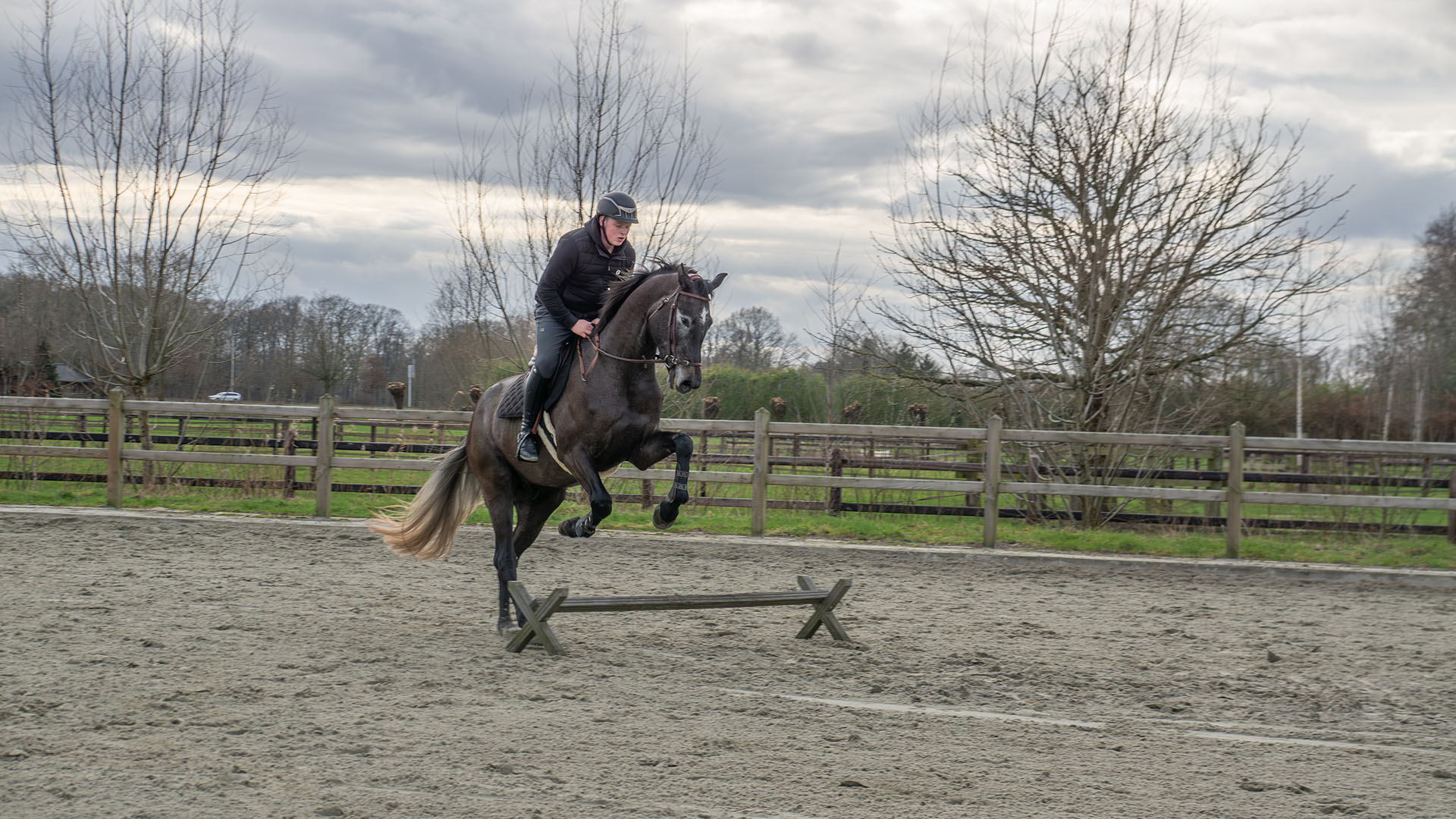 Schijndelse Woud Stables training